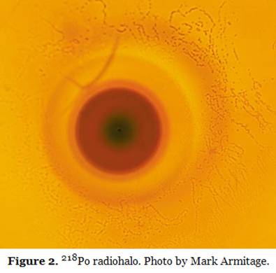 Radiohalo