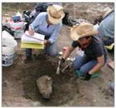 Dinosaur Excavation