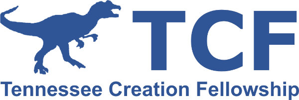 CreationTN.org